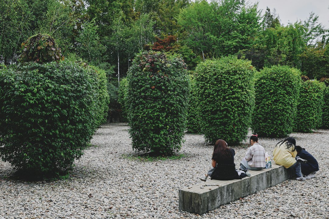 people planting trees outdoors