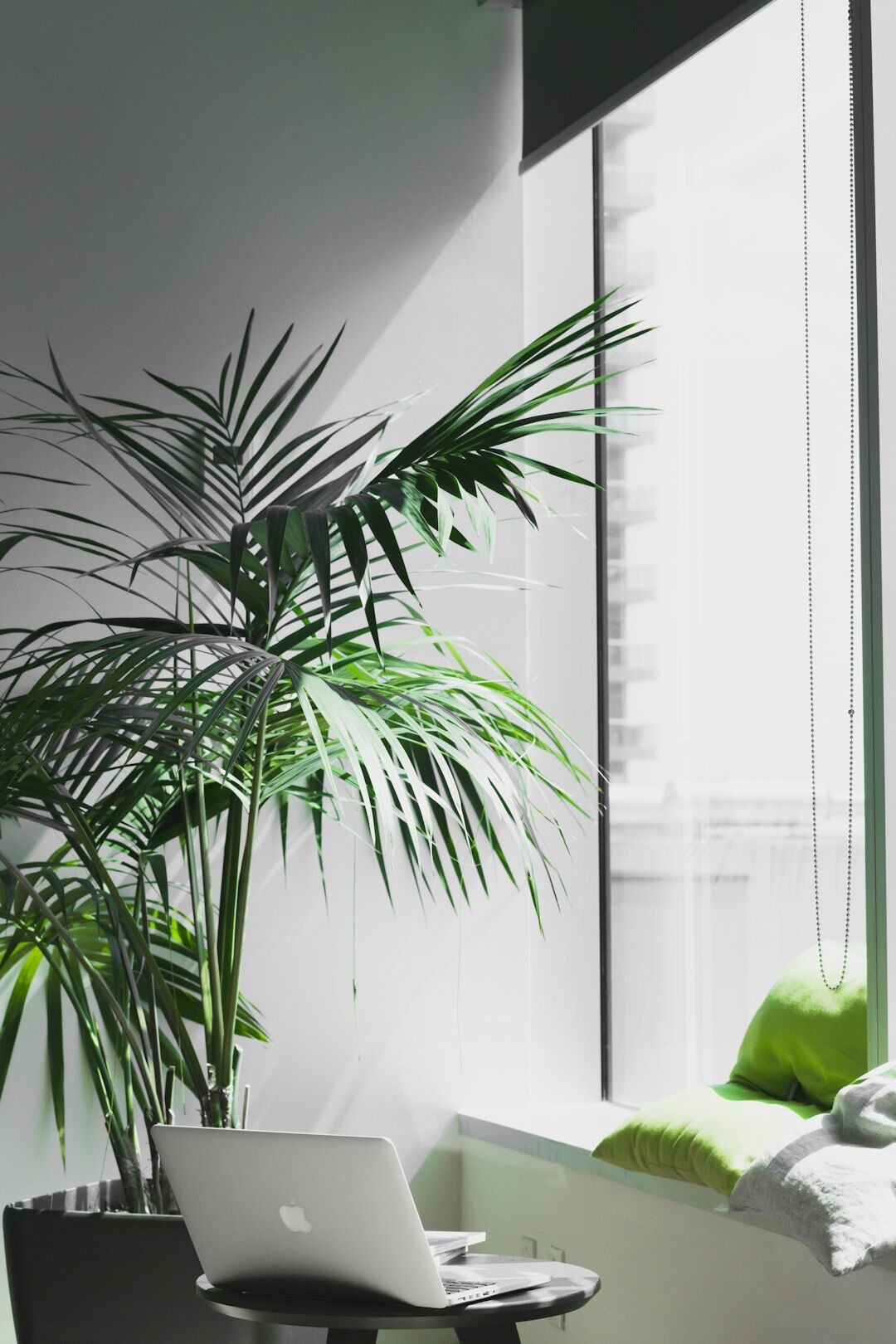 modern sustainable office