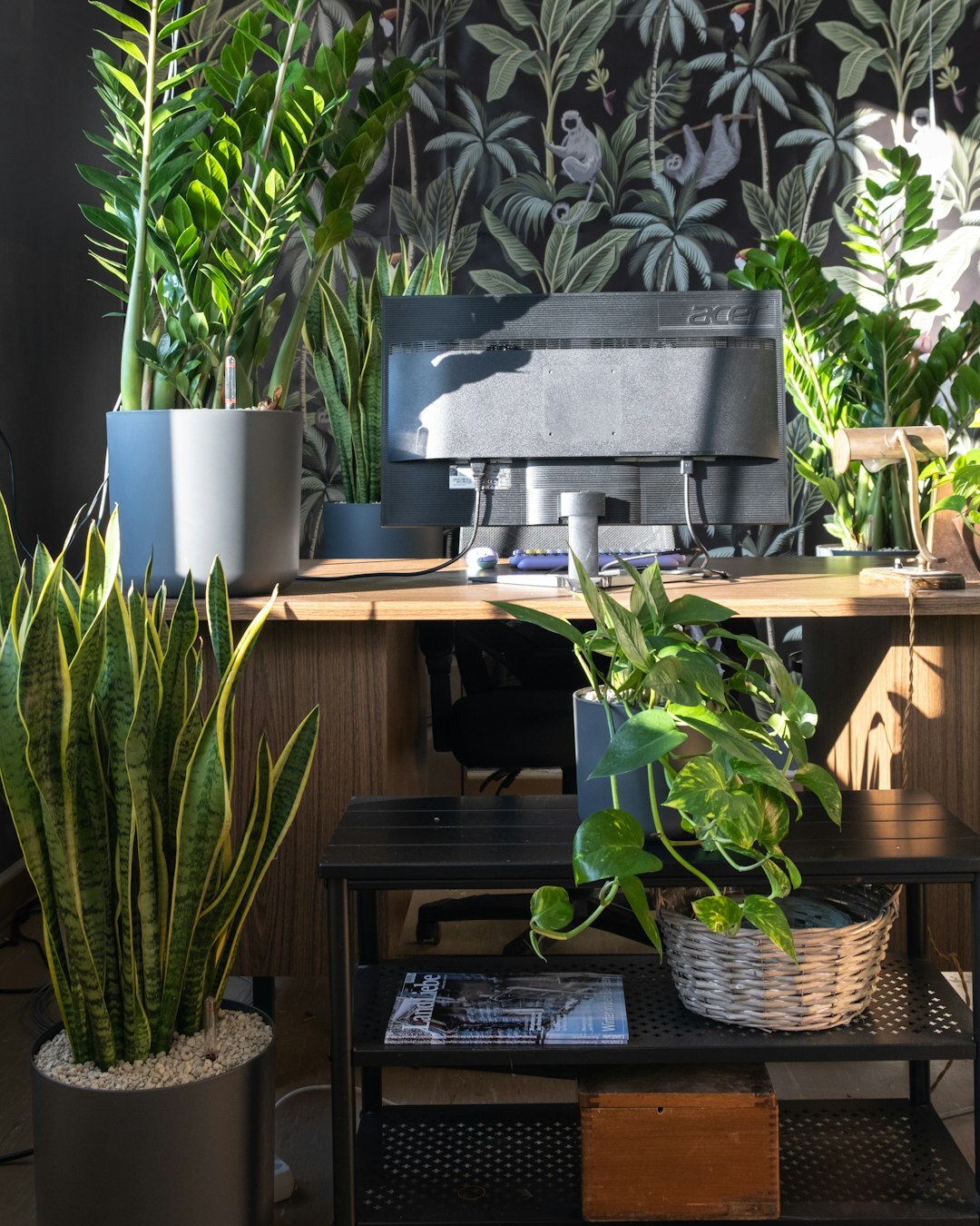 sustainable office desk with plants